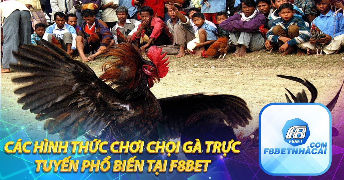 Các hình thức chơi chọi gà trực tuyến phổ biến tại F8BET 