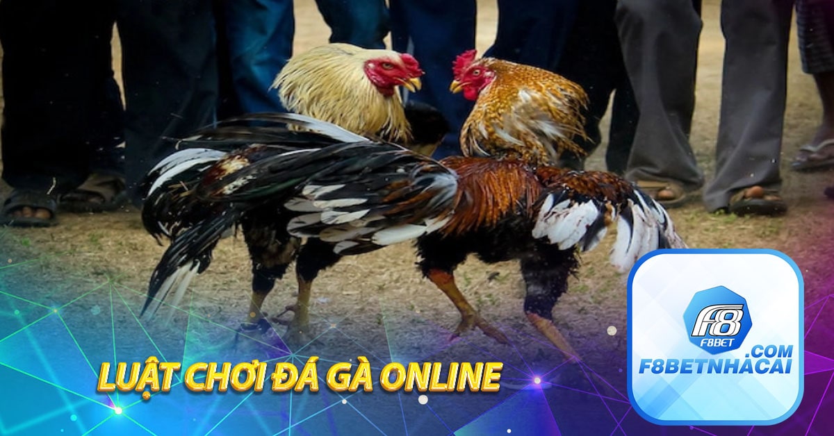 Luật chơi đá gà F8BET online