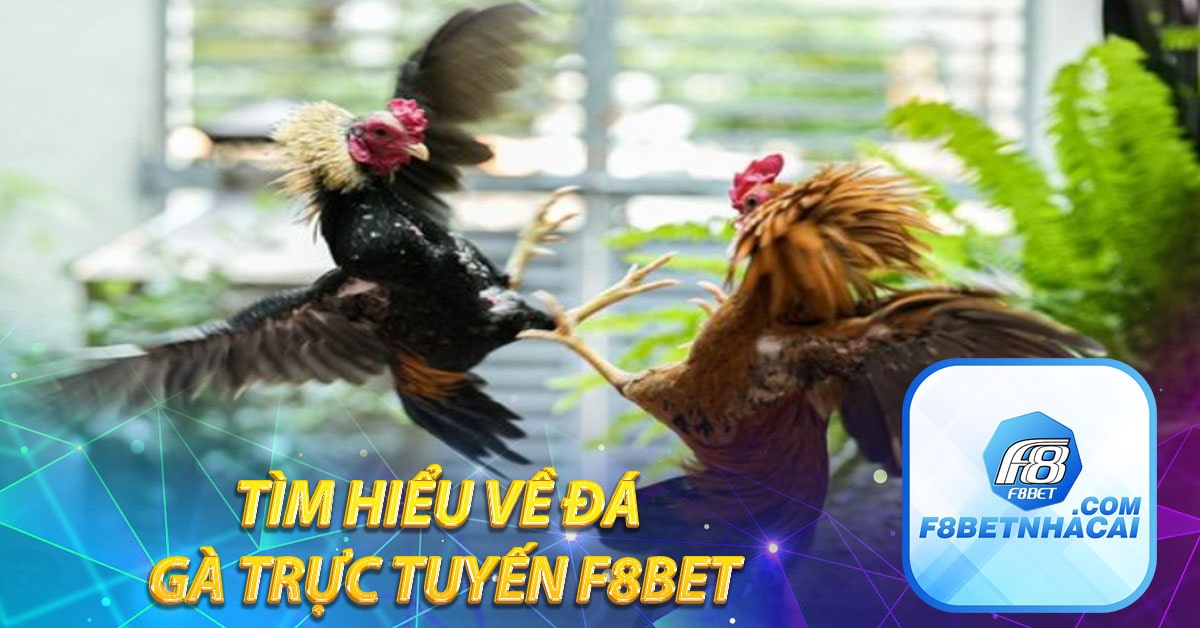 Tìm hiểu về đá gà trực tuyến F8BET