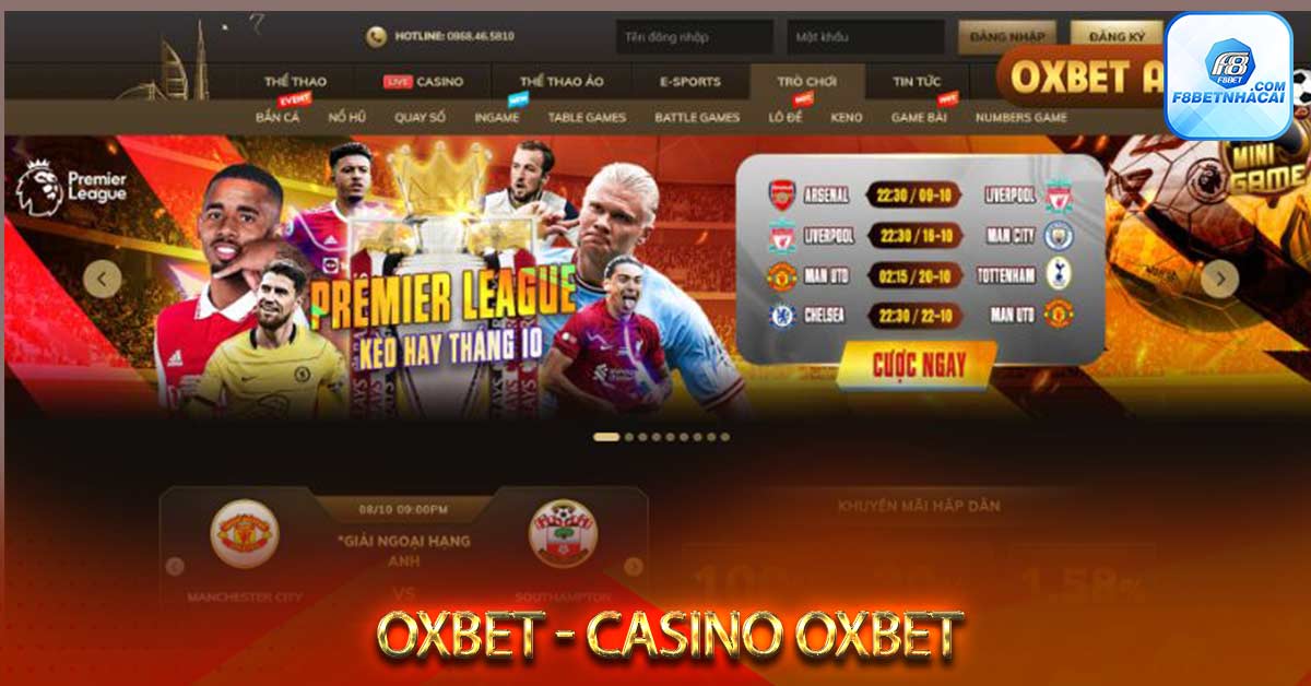 Thông tin hoạt động Oxbet club