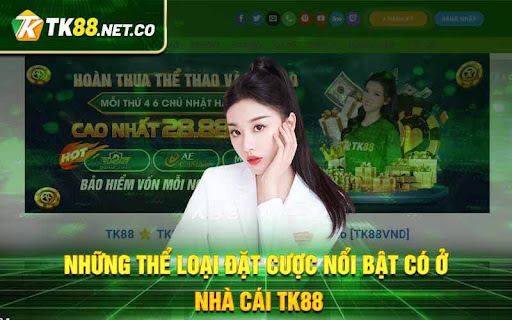 Tổng quan về nhà cái trực tuyến uy tín TK88